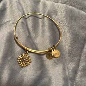 Alex and Ani Compass bracelet
